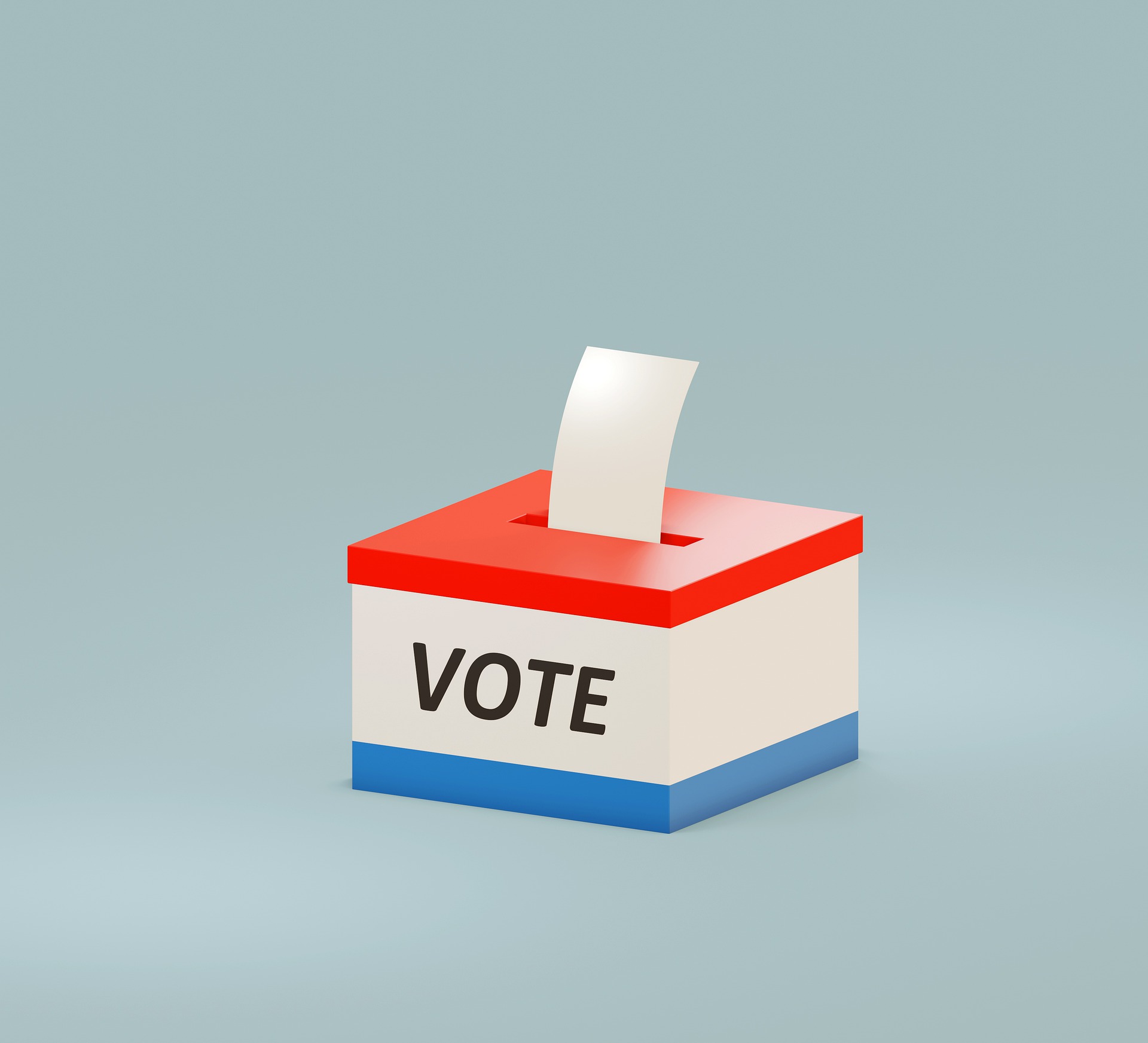 Spring 2021 Primary Election Results - Vimarsana News