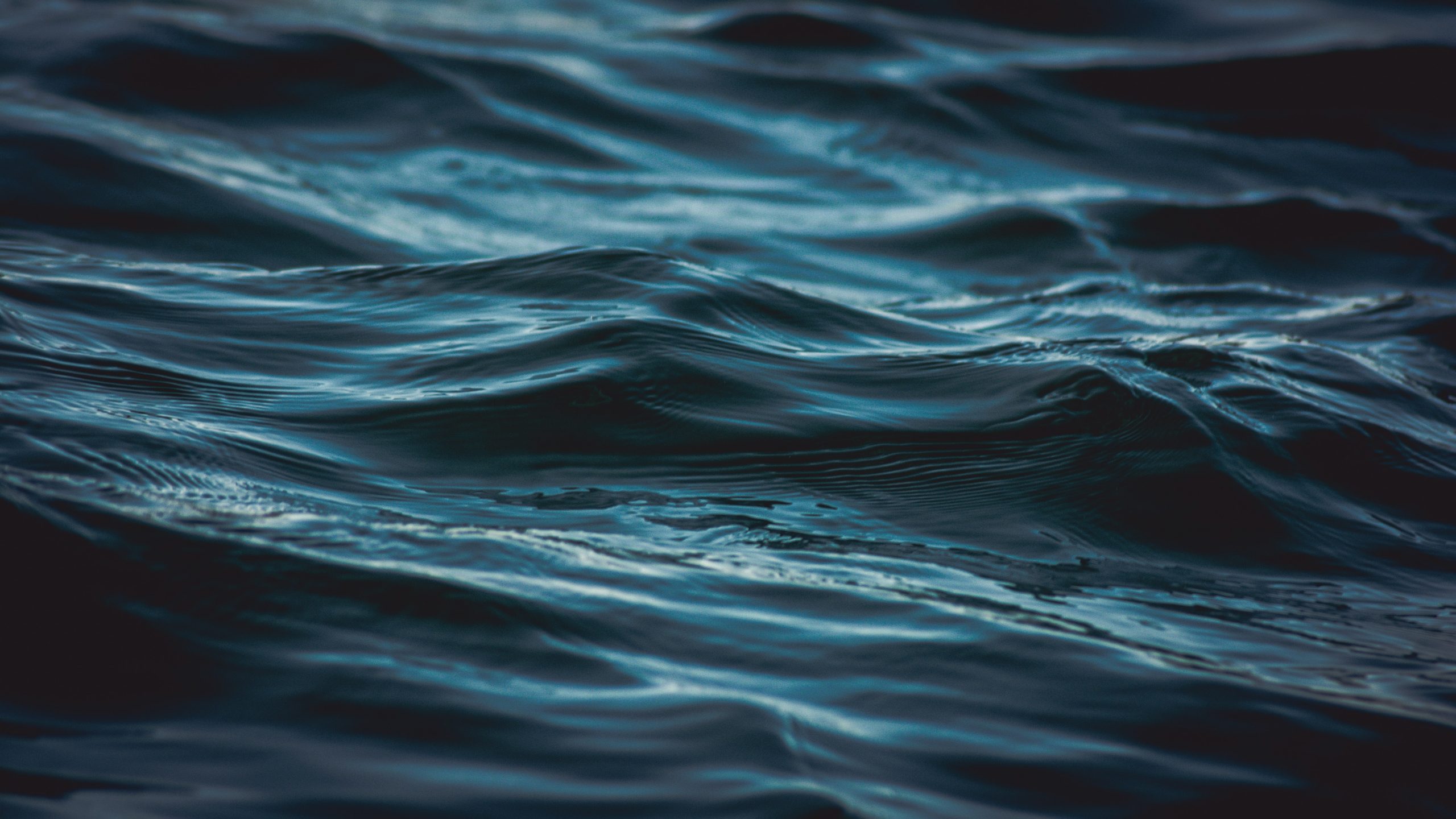 Lobbying group sues DNR over PFAS testing - Vimarsana News