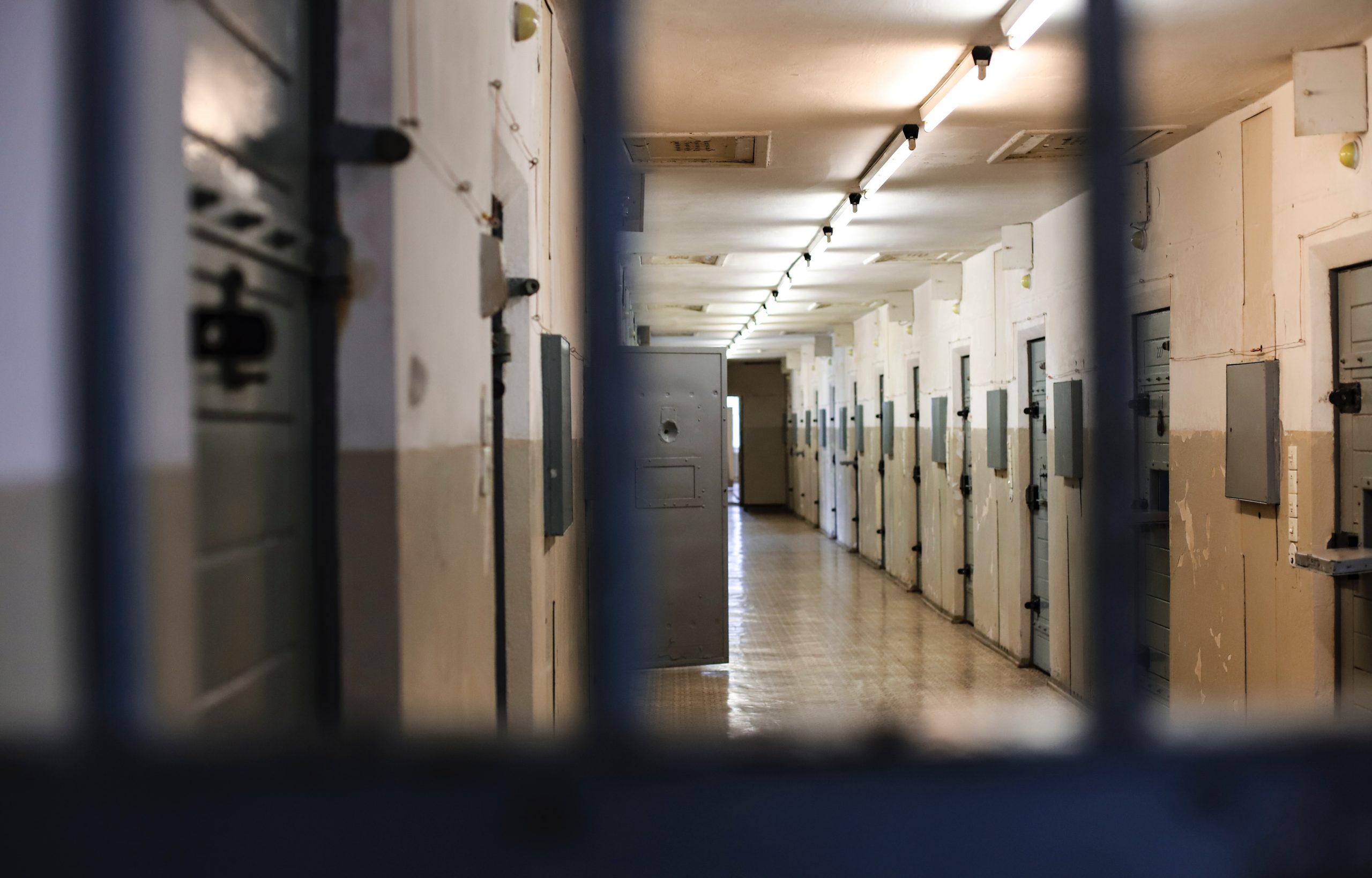 Free the 350 Bailfund's, Liam Manjon, Discusses Their Upcoming Non-Fungible Token Art Auction on Mother's Day - Vimarsana News