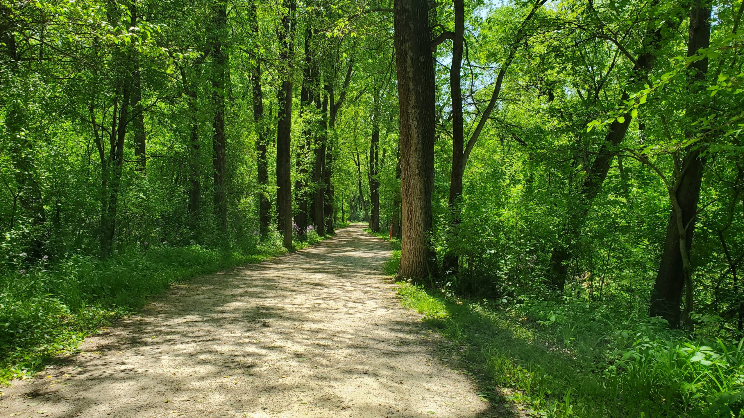 Ep. 1: Pheasant Branch Conservancy - WORT-FM 89.9 - Vimarsana News