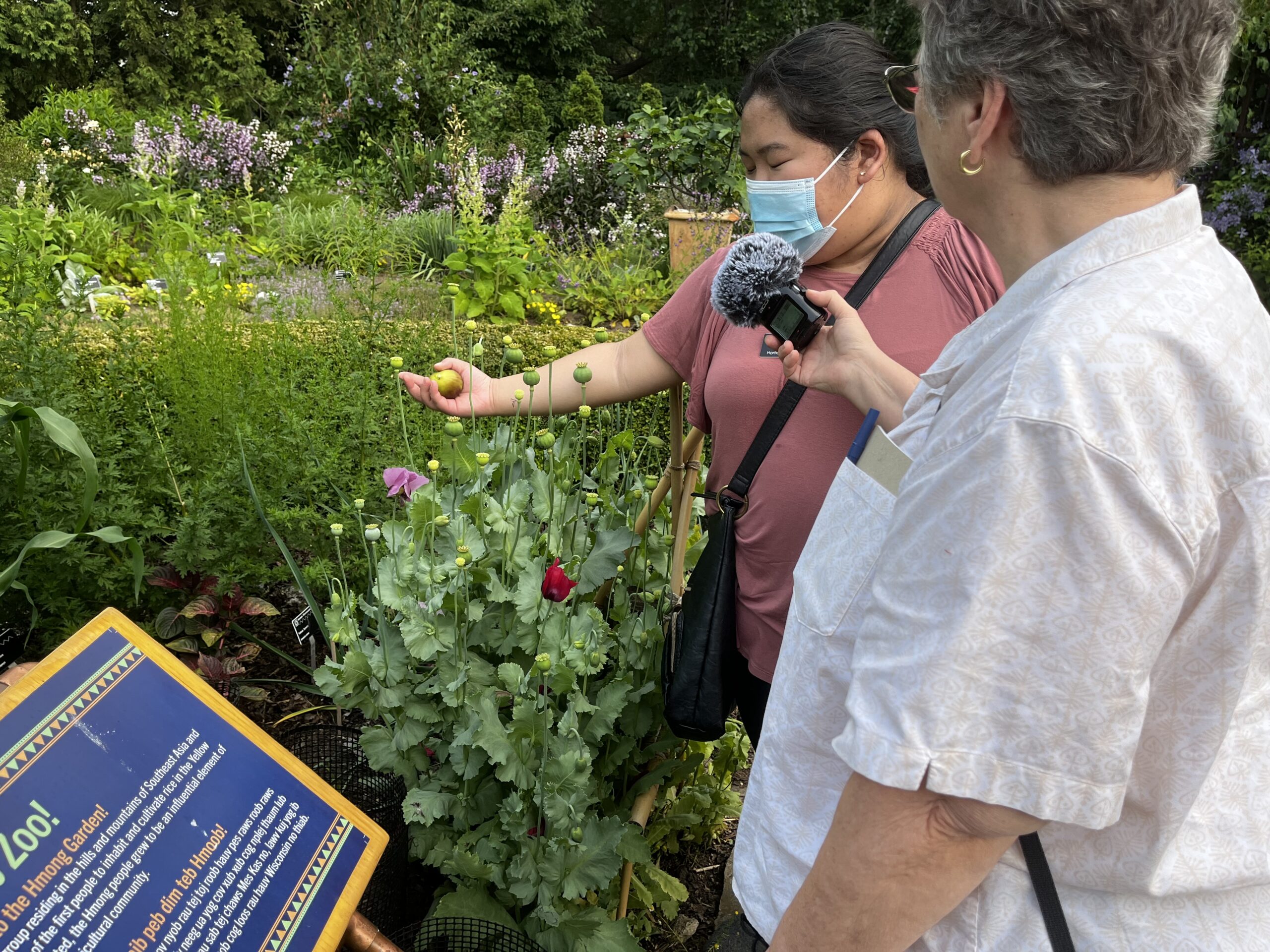 Olbrich Showcases Latest Cultural Garden WORTFM 89.9