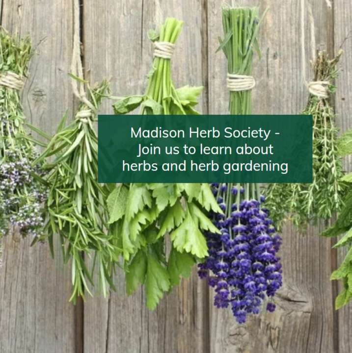 Madison Herb Fair's 40th year WORTFM 89.9