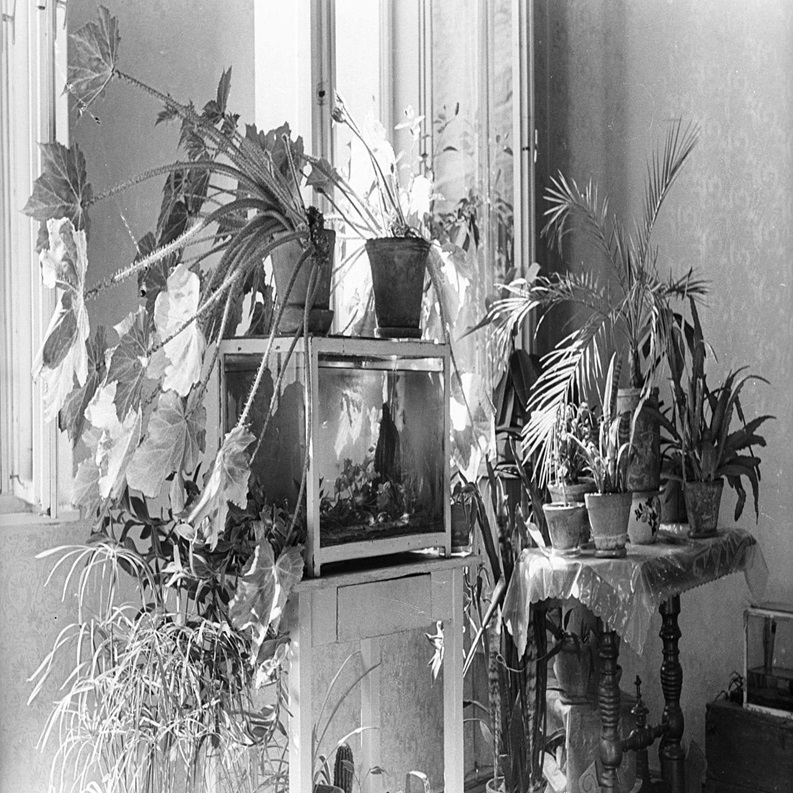 winter-tips-for-to-keep-your-thumbs-and-plants-green-wort-fm-89-9
