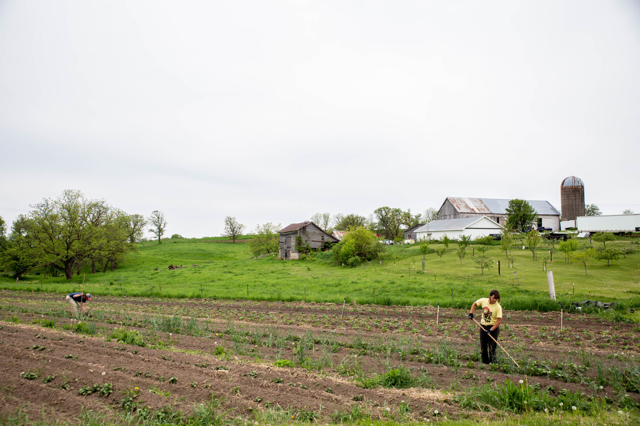Local Farming Project Community Supported Agriculture & Local Farming - WORT-FM 89.9