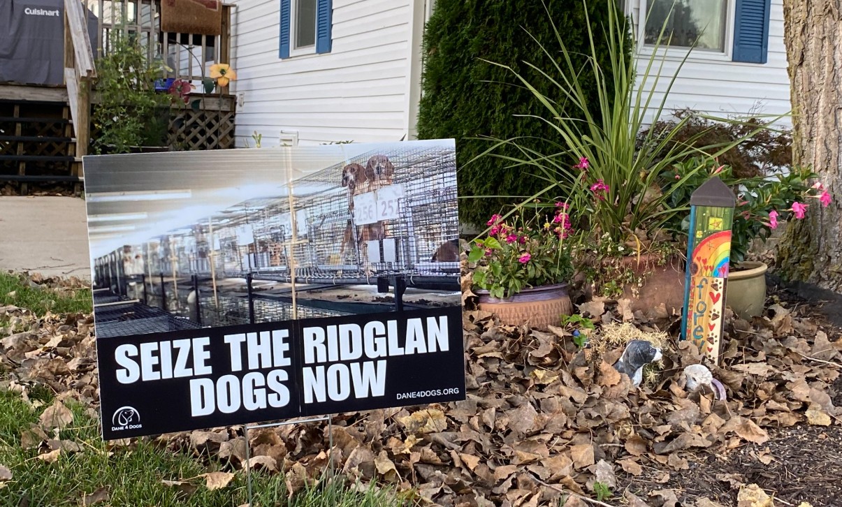 Animal rights activists celebrate Ridglan Farms settlement - WORT-FM 89.9