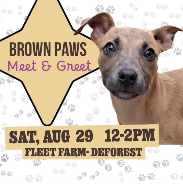 Brown Paws Rescue Meet & Greet @ DeForest Fleet Farm — Community in DeForest Fleet Farm · DeForest, WI